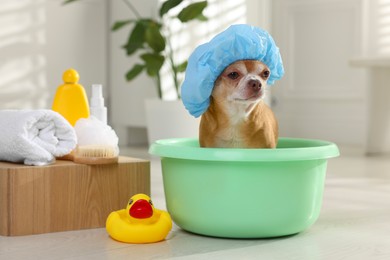 Photo of Cute funny dog with shower cap and different accessories for bathing at home