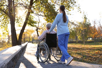 Photo of Caregiver with elderly woman in wheelchair at park, back view