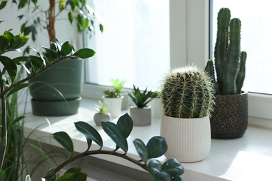 Photo of Different potted houseplants on window sill indoors