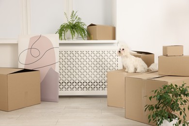 Photo of Moving day. Cute dog, houseplant and many cardboard boxes indoors