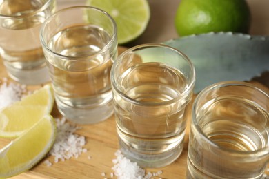 Photo of Tequila shots with salt, limes and agave leaf on wooden table, closeup