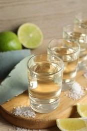 Photo of Tequila shots with salt, limes and agave leaves on table, closeup