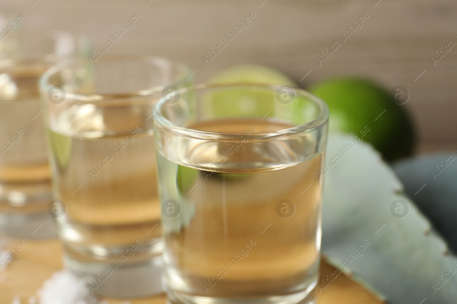 Photo of Tequila shots with salt, limes and agave leaves on table, closeup