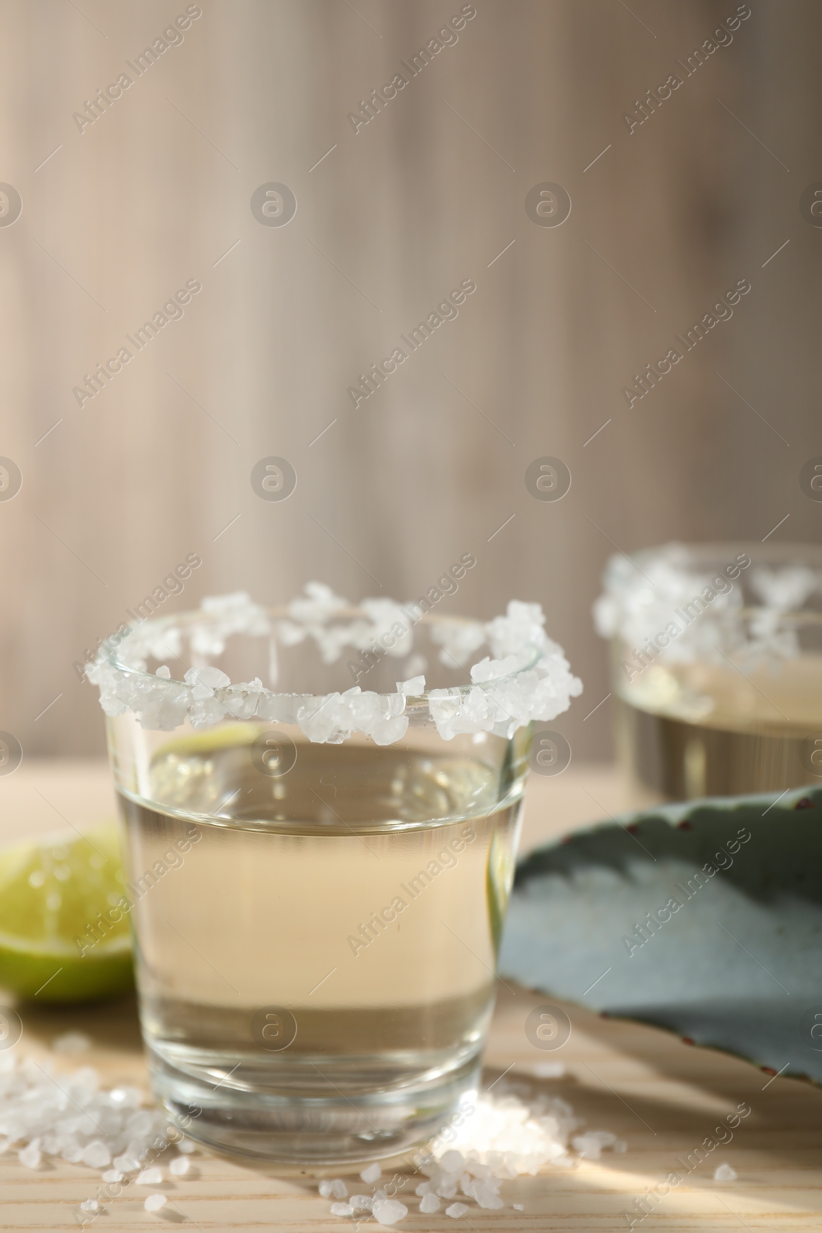 Photo of Tequila shots with salt, lime slice and agave leaf on wooden table, closeup. Space for text