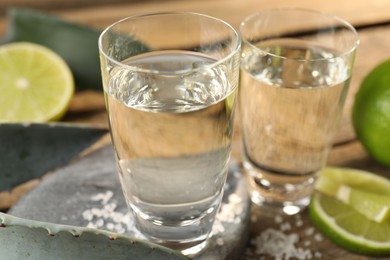 Photo of Tequila shots with salt, limes and agave leaves on table, closeup