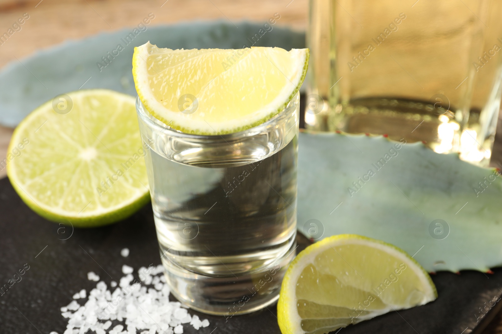 Photo of Tequila shot with lime slices, salt and agave leaves on table, closeup