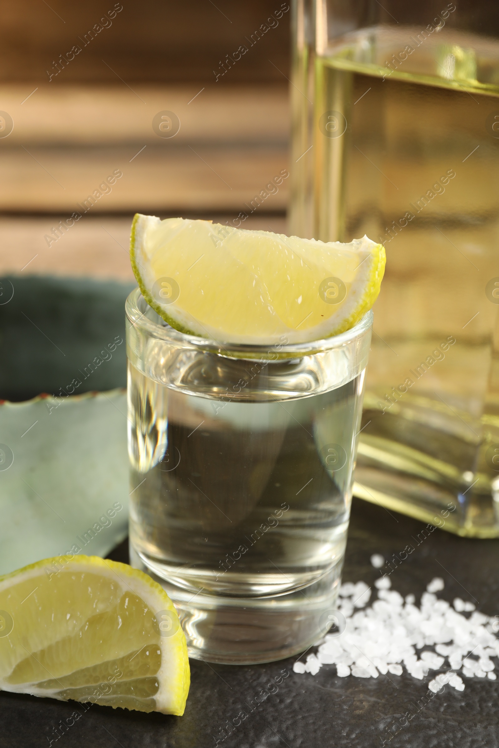 Photo of Tequila shot with lime slices, salt and agave leaves on table, closeup