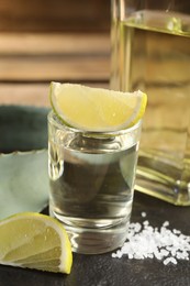 Tequila shot with lime slices, salt and agave leaves on table, closeup