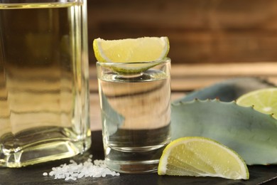 Photo of Tequila shot with lime slices, salt and agave leaves on wooden table, closeup