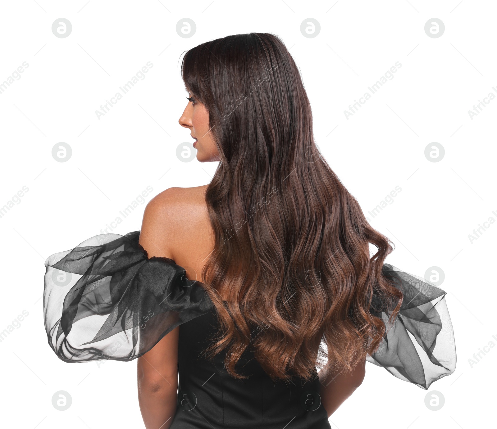 Photo of Hair styling. Woman with wavy long hair on white background, back view