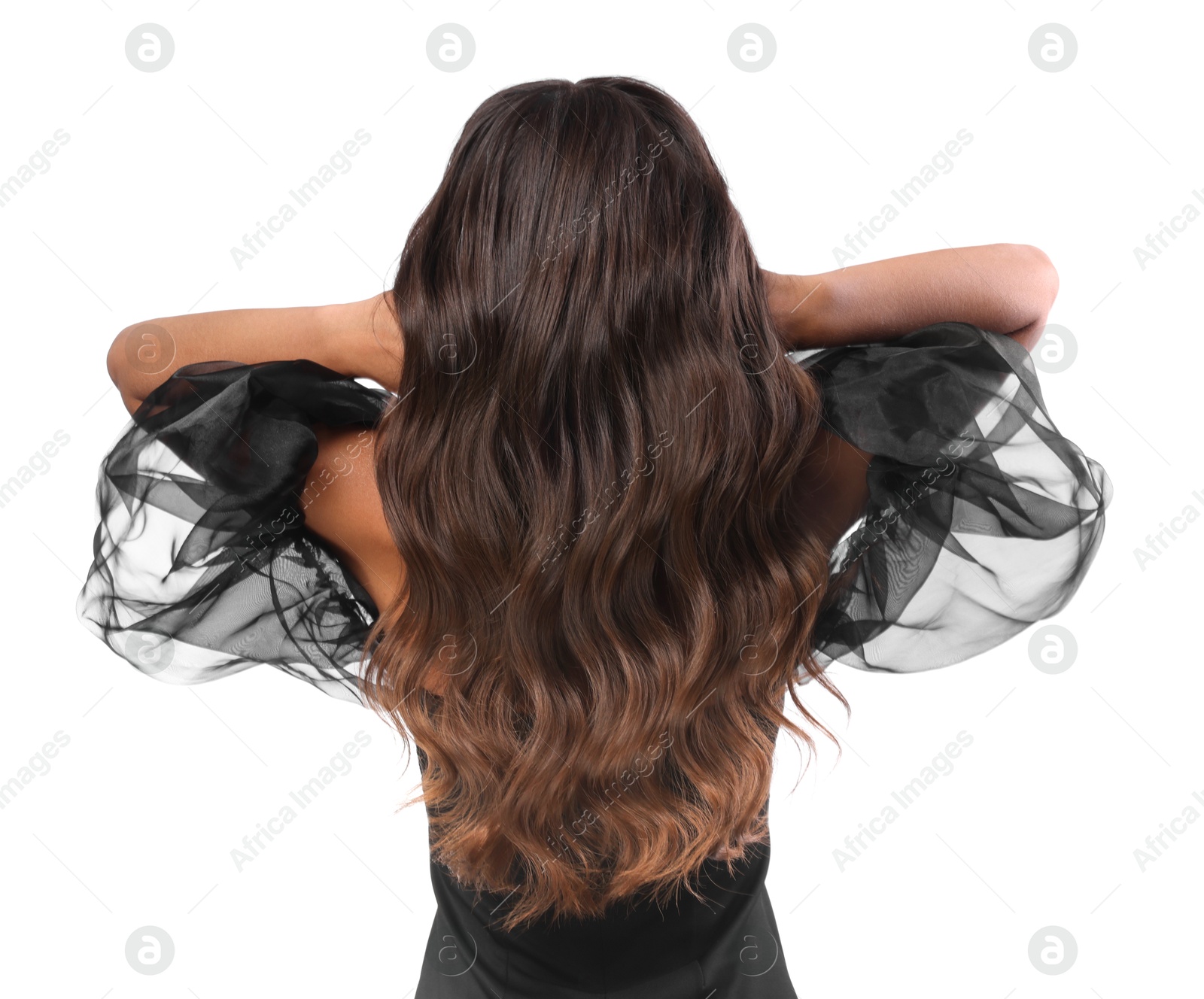 Photo of Hair styling. Woman with wavy long hair on white background, back view