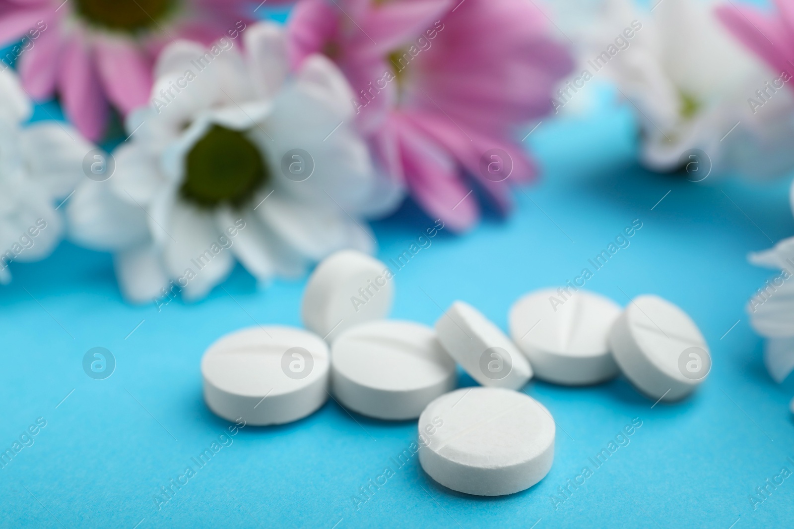 Photo of Allergy treatment. Pills and flowers on light blue background, closeup