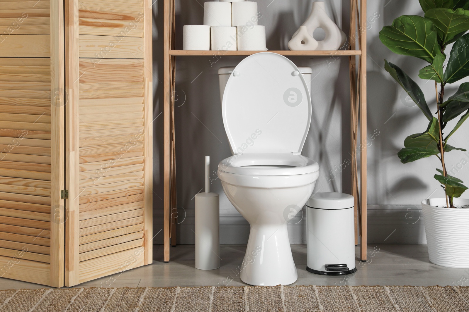 Photo of Folding screen, toilet bowl and houseplant in restroom