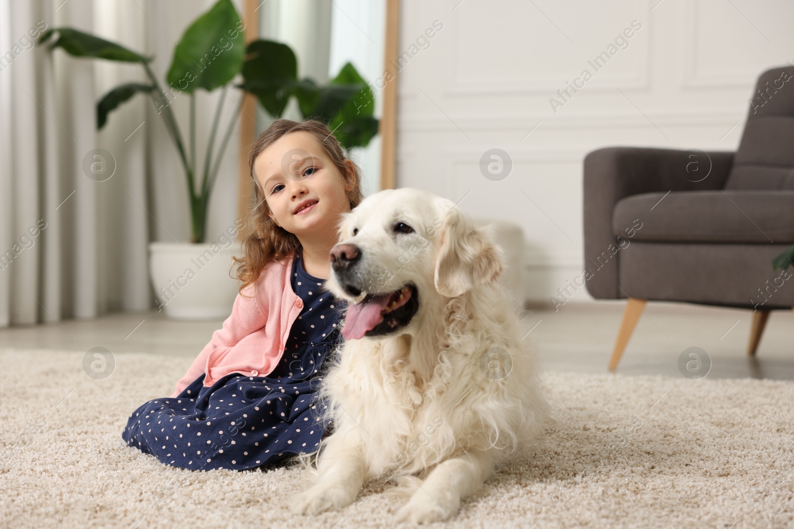 Photo of Little girl with cute dog on carpet at home