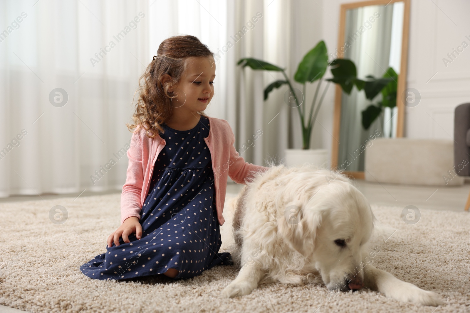 Photo of Little girl with cute dog on carpet at home