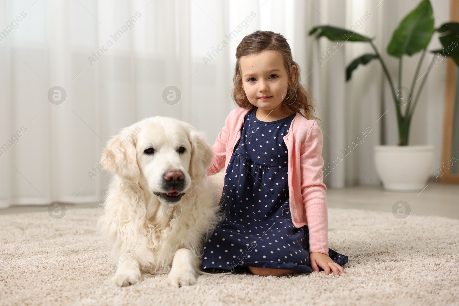 Photo of Little girl with cute dog on carpet at home