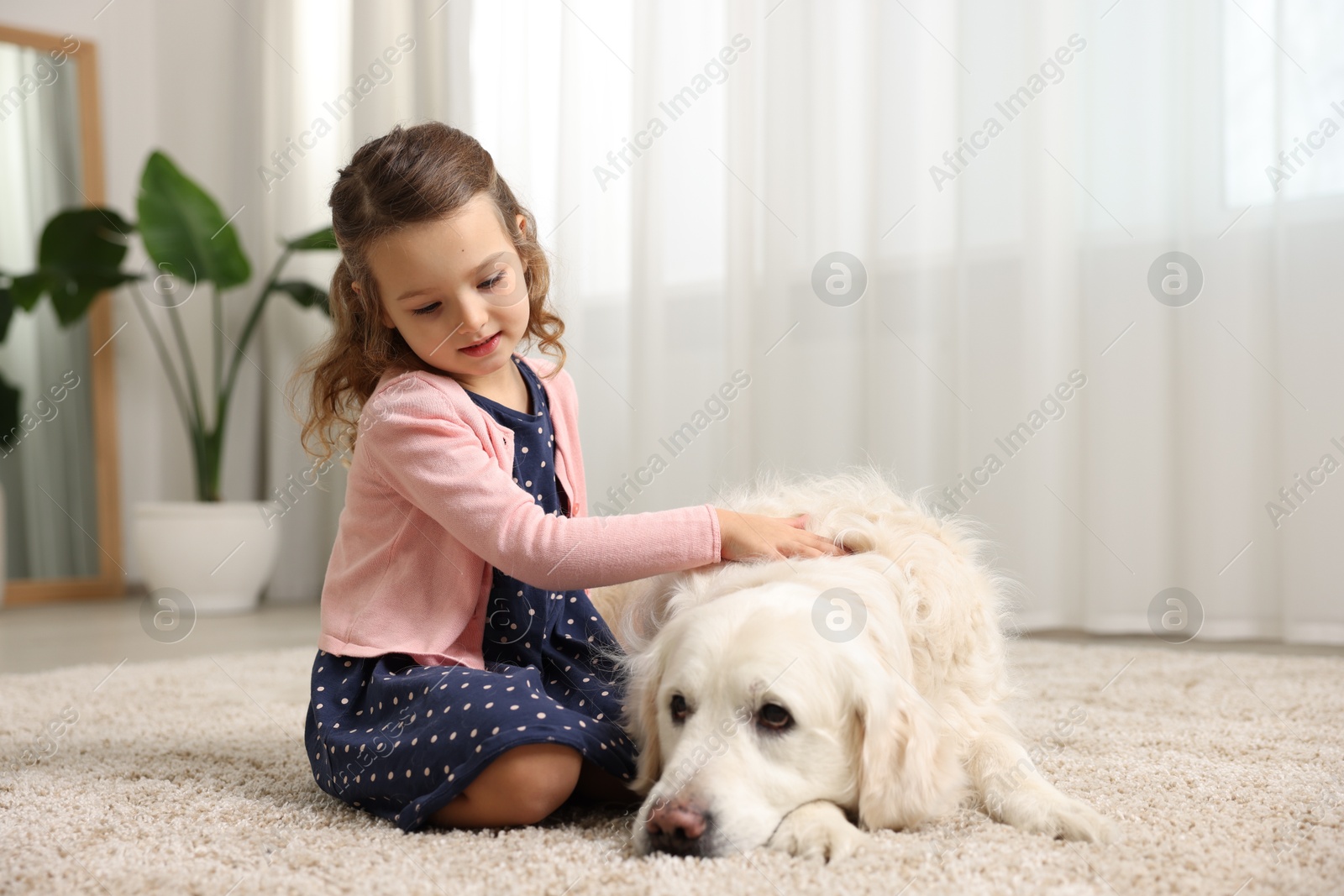 Photo of Little girl with cute dog on carpet at home