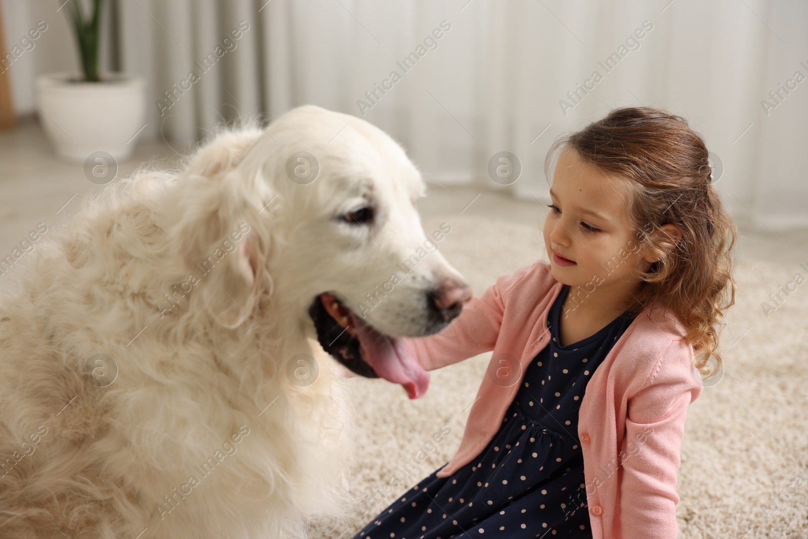 Photo of Little girl with cute dog on carpet at home