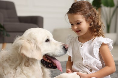 Little girl with cute dog on carpet at home