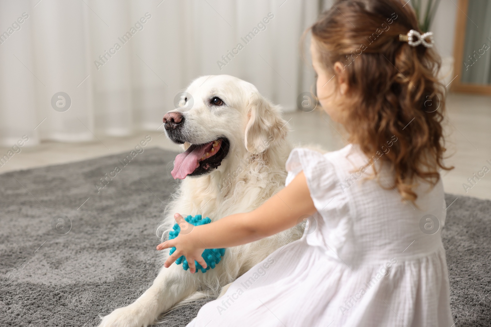 Photo of Little girl playing with cute dog on carpet at home