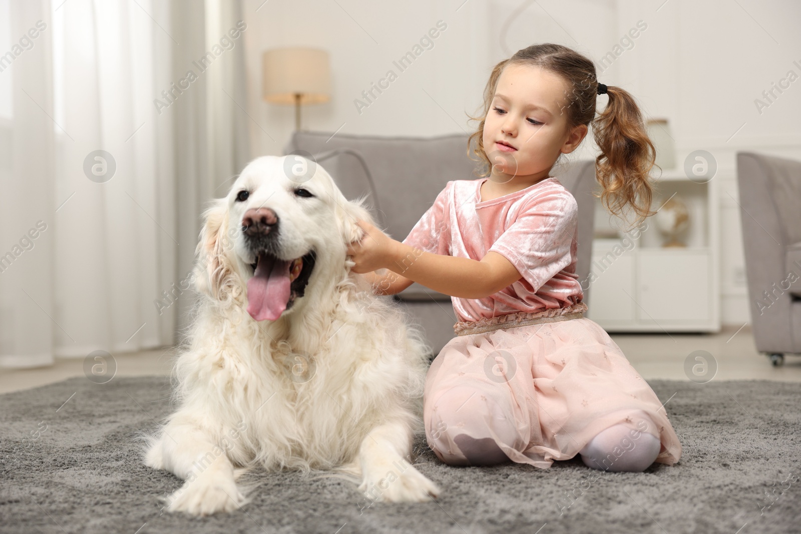 Photo of Little girl with cute dog on carpet at home