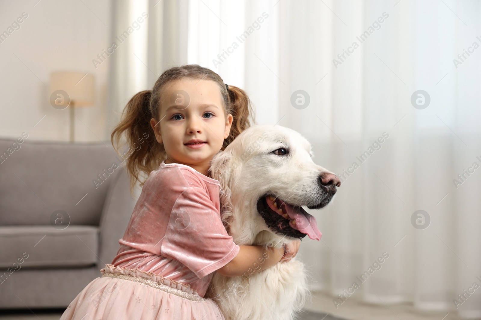 Photo of Little girl with cute dog at home, space for text