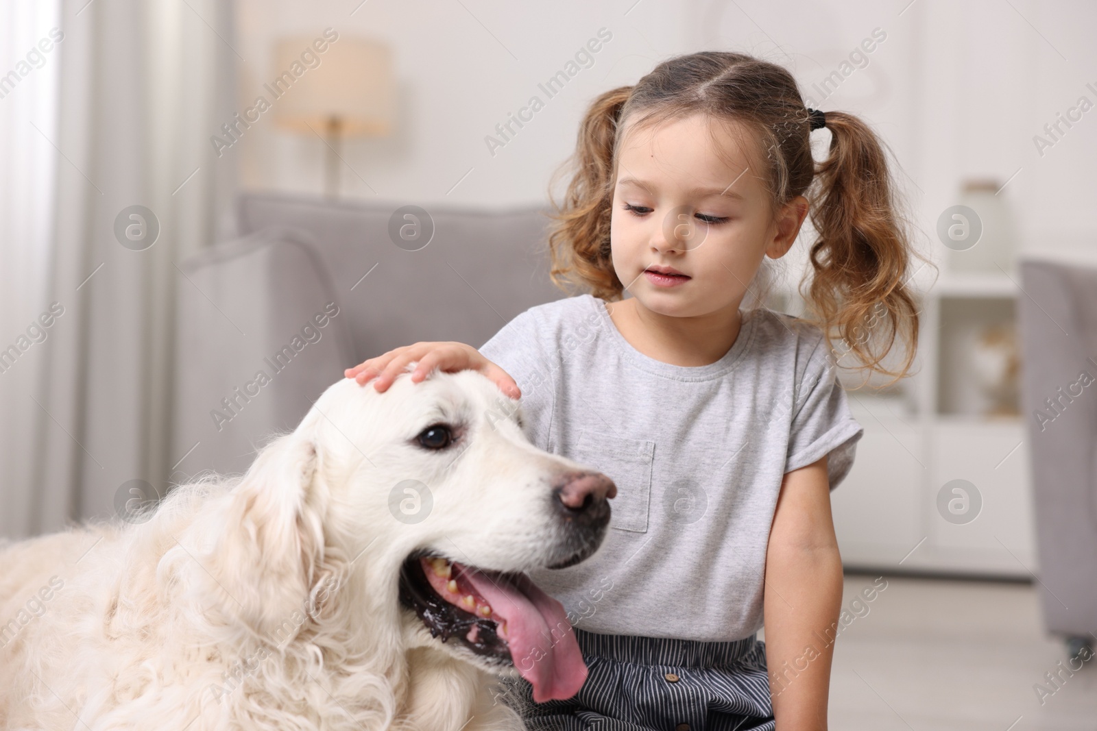 Photo of Little girl with cute dog at home