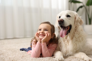 Photo of Little girl with cute dog on carpet at home, space for text