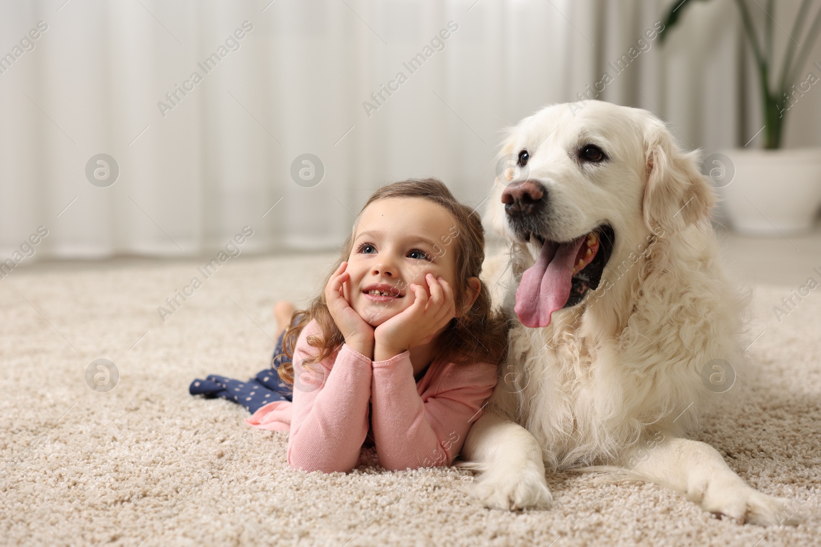 Photo of Little girl with cute dog on carpet at home, space for text