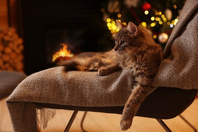 Photo of Cute fluffy cat on armchair in room decorated for Christmas