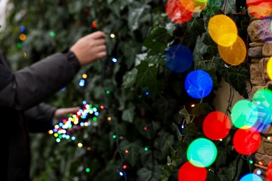 Photo of Man decorating green plant with Christmas lights outdoors, closeup