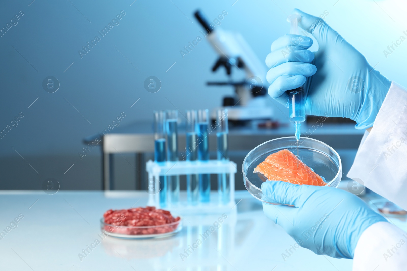 Photo of GMO concept. Scientist injecting something into piece of salmon in laboratory, closeup. Space for text