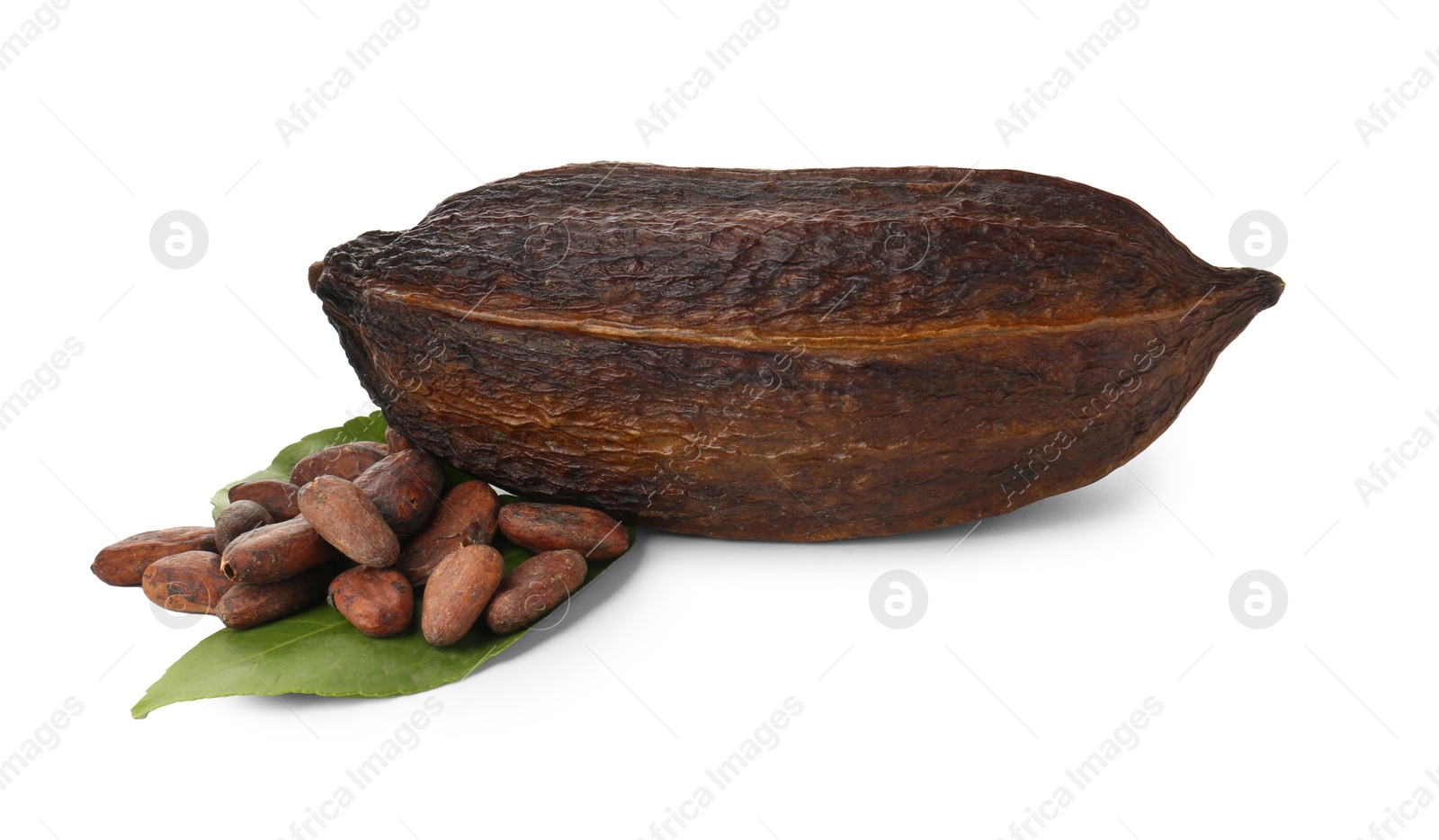 Photo of Cocoa pod, beans and leaf isolated on white