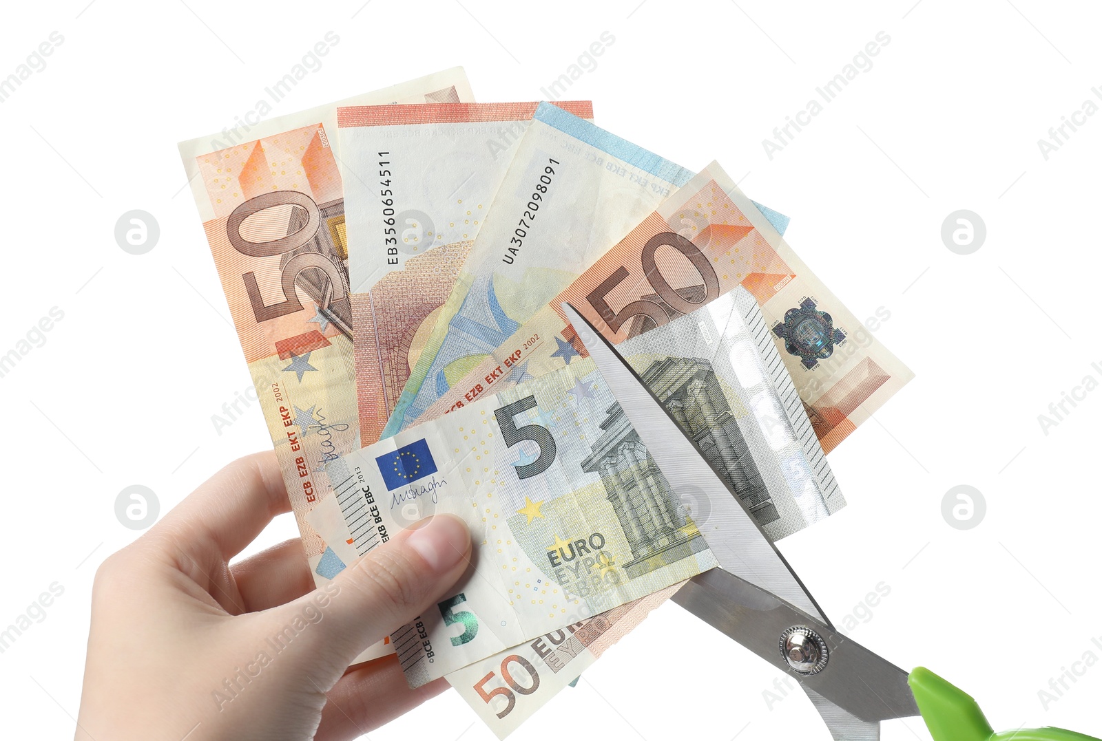 Photo of Woman cutting euro banknotes on white background, closeup