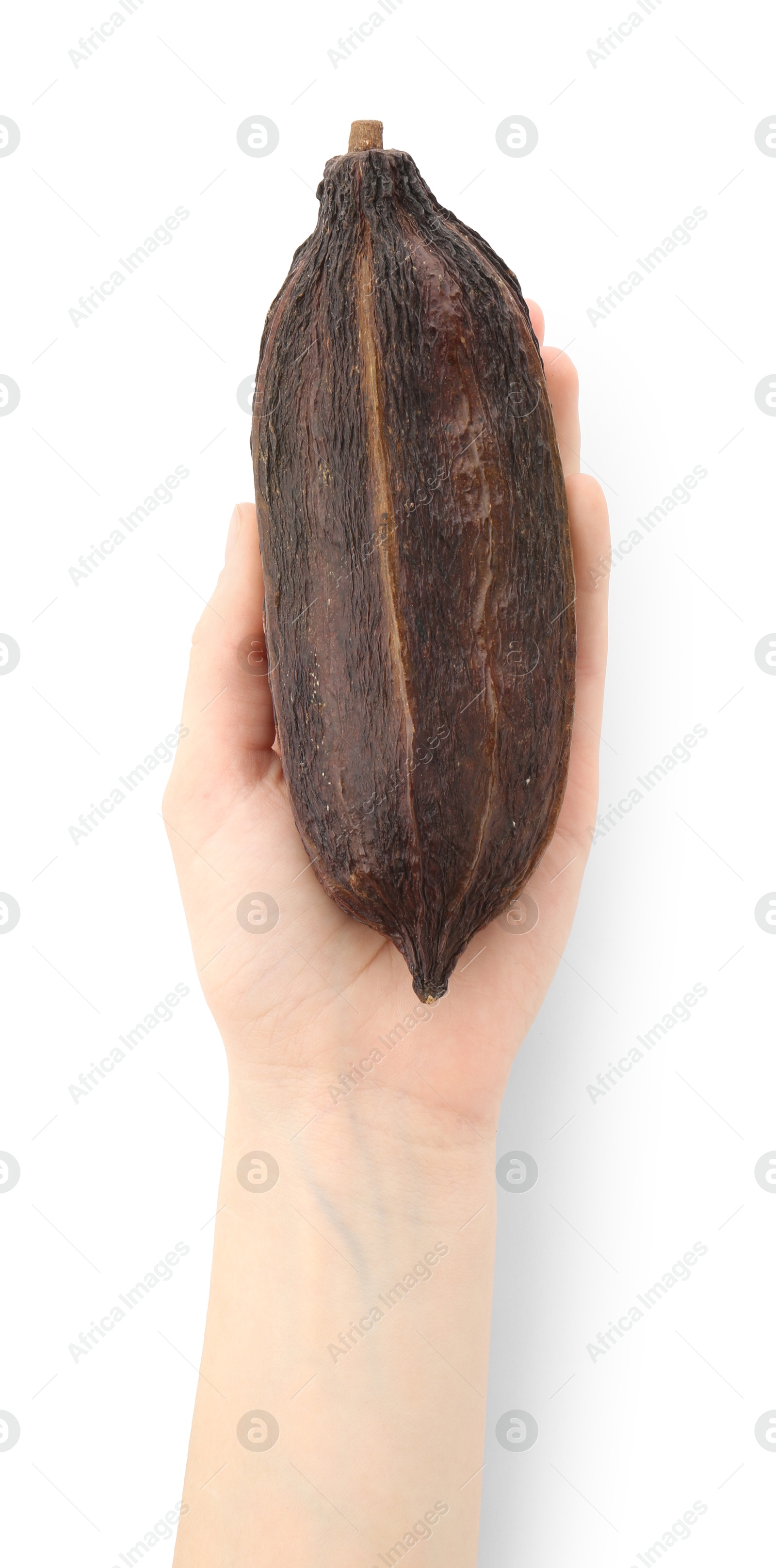 Photo of Woman with cocoa pod on white background, top view