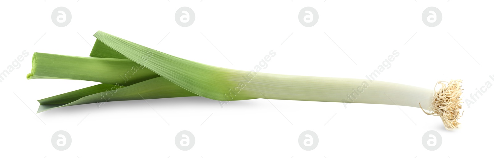 Photo of One fresh green leek isolated on white