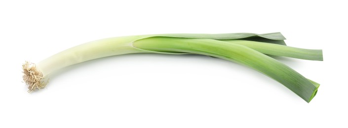 Photo of One fresh green leek isolated on white