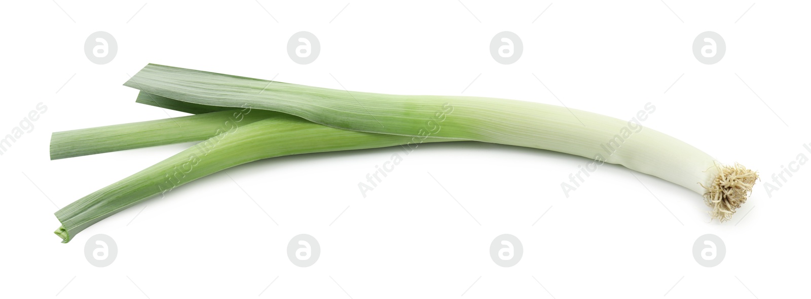 Photo of One fresh green leek isolated on white