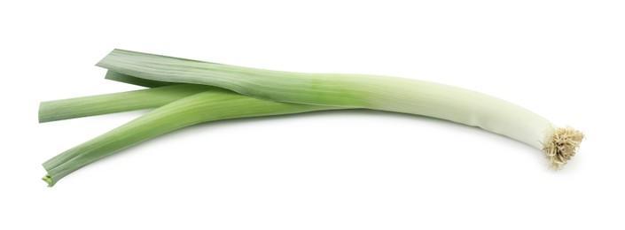 Photo of One fresh green leek isolated on white