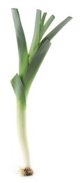 Photo of One fresh green leek isolated on white