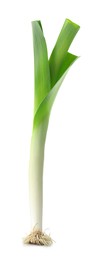 Photo of One fresh green leek isolated on white