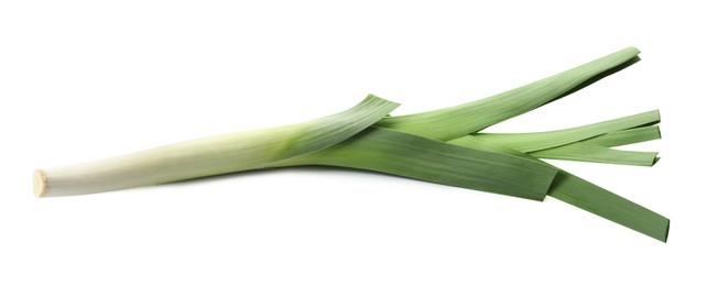 Photo of One fresh green leek isolated on white