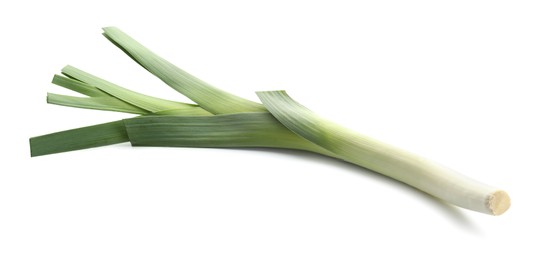 Photo of One fresh green leek isolated on white