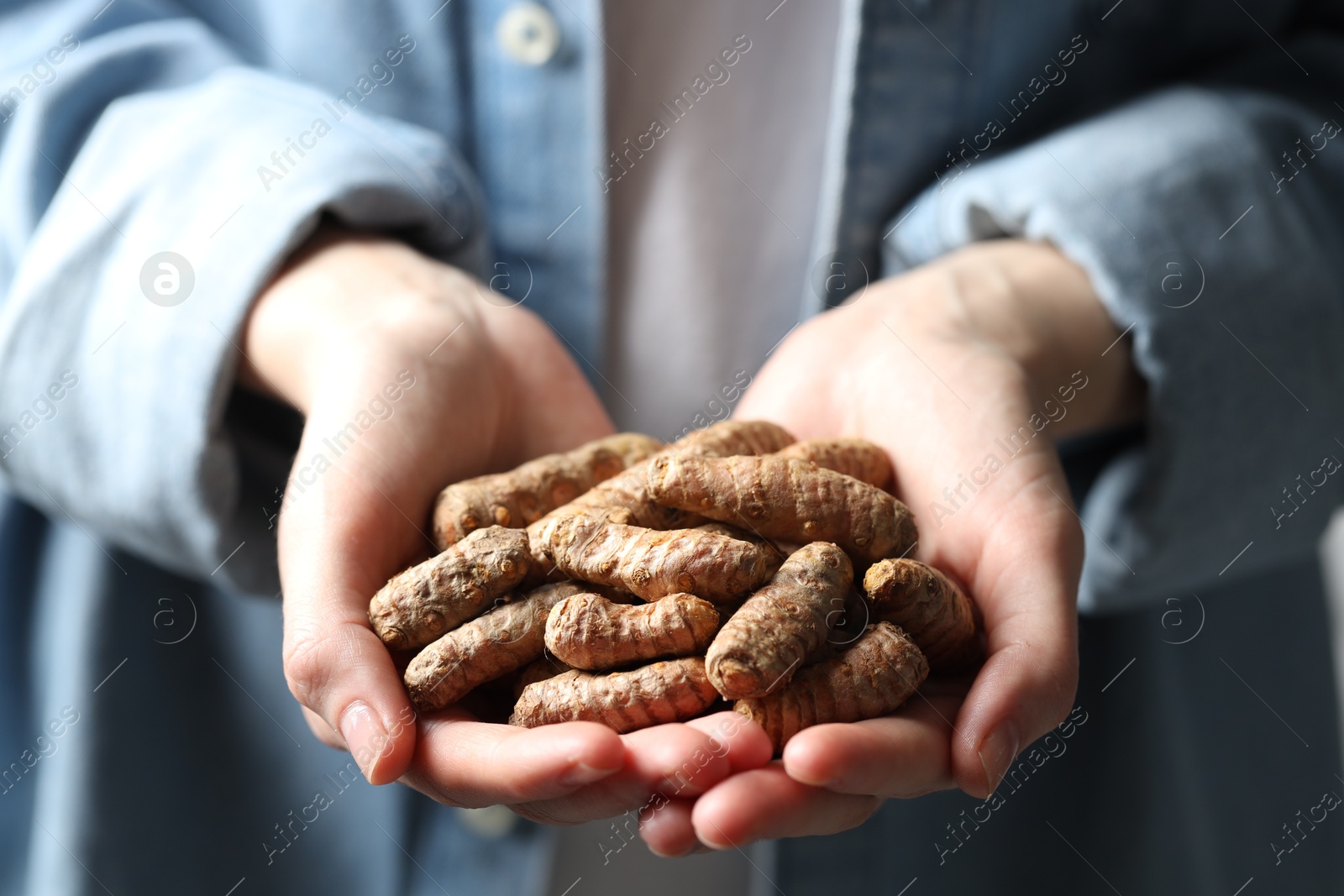 Photo of Woman holding raw turmeric roots, closeup view