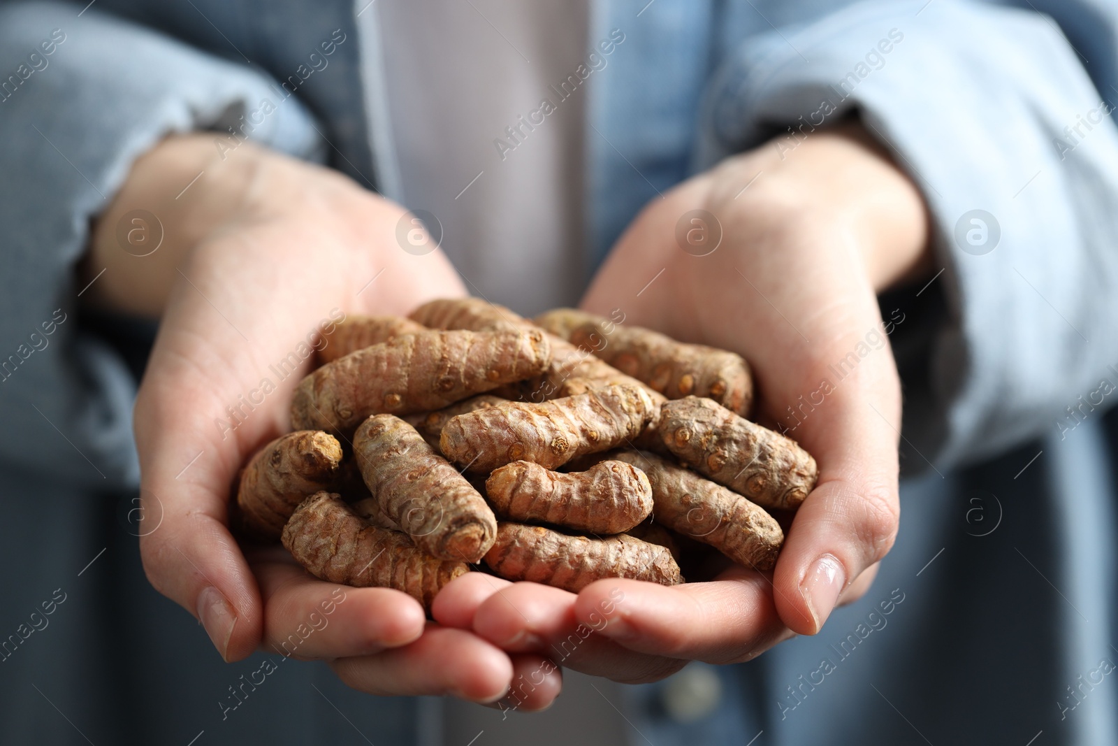 Photo of Woman holding raw turmeric roots, closeup view