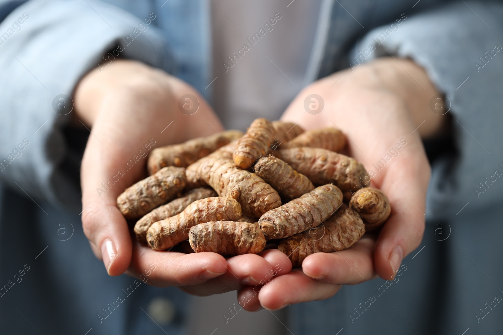 Photo of Woman holding raw turmeric roots, closeup view