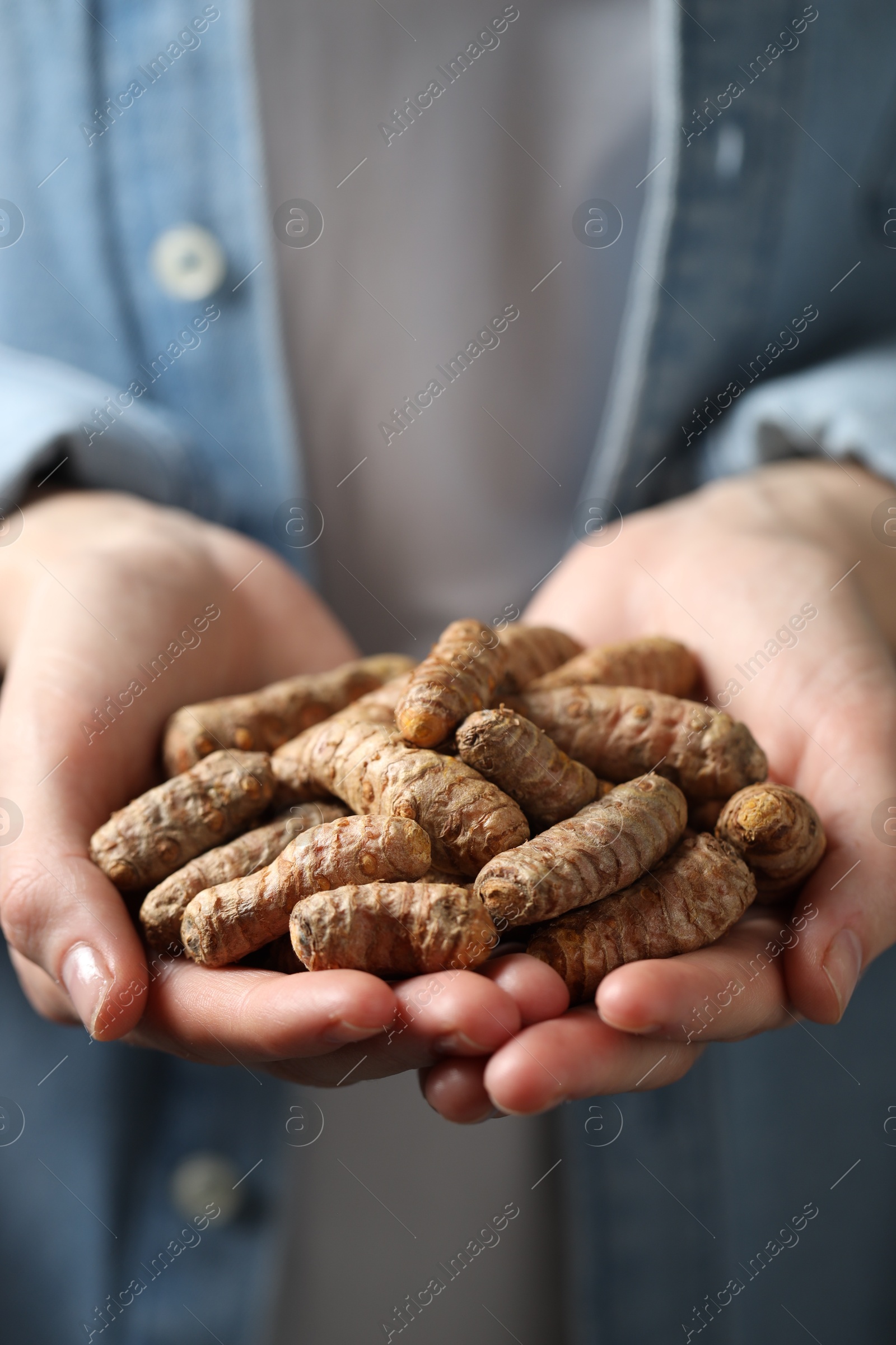 Photo of Woman holding raw turmeric roots, closeup view