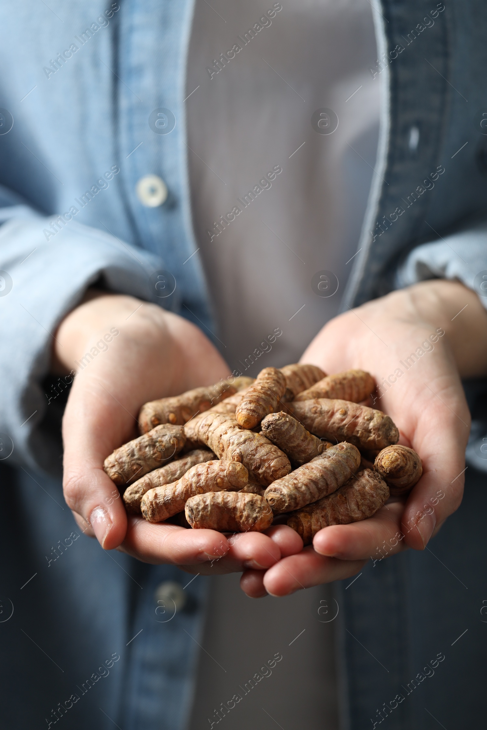 Photo of Woman holding raw turmeric roots, closeup view