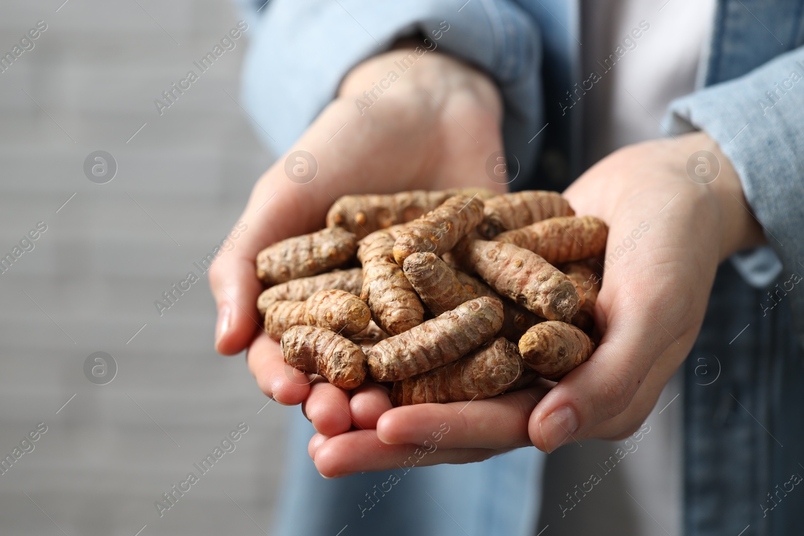 Photo of Woman holding raw turmeric roots on blurred background, closeup