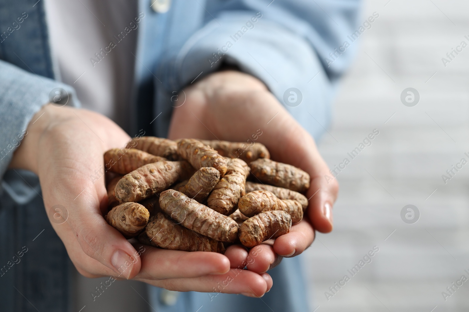 Photo of Woman holding raw turmeric roots on blurred background, closeup